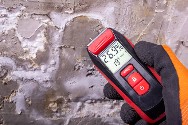 Best Industrial Mold Remediation in Wood Village, OR